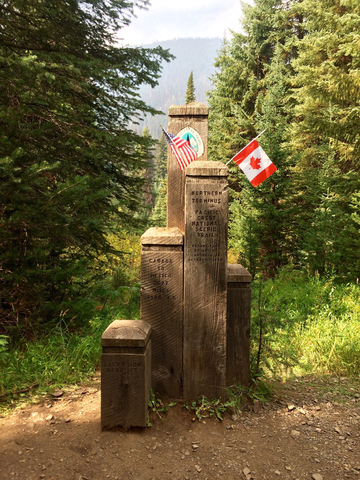 Trail marker post standing along a wooded hiking path