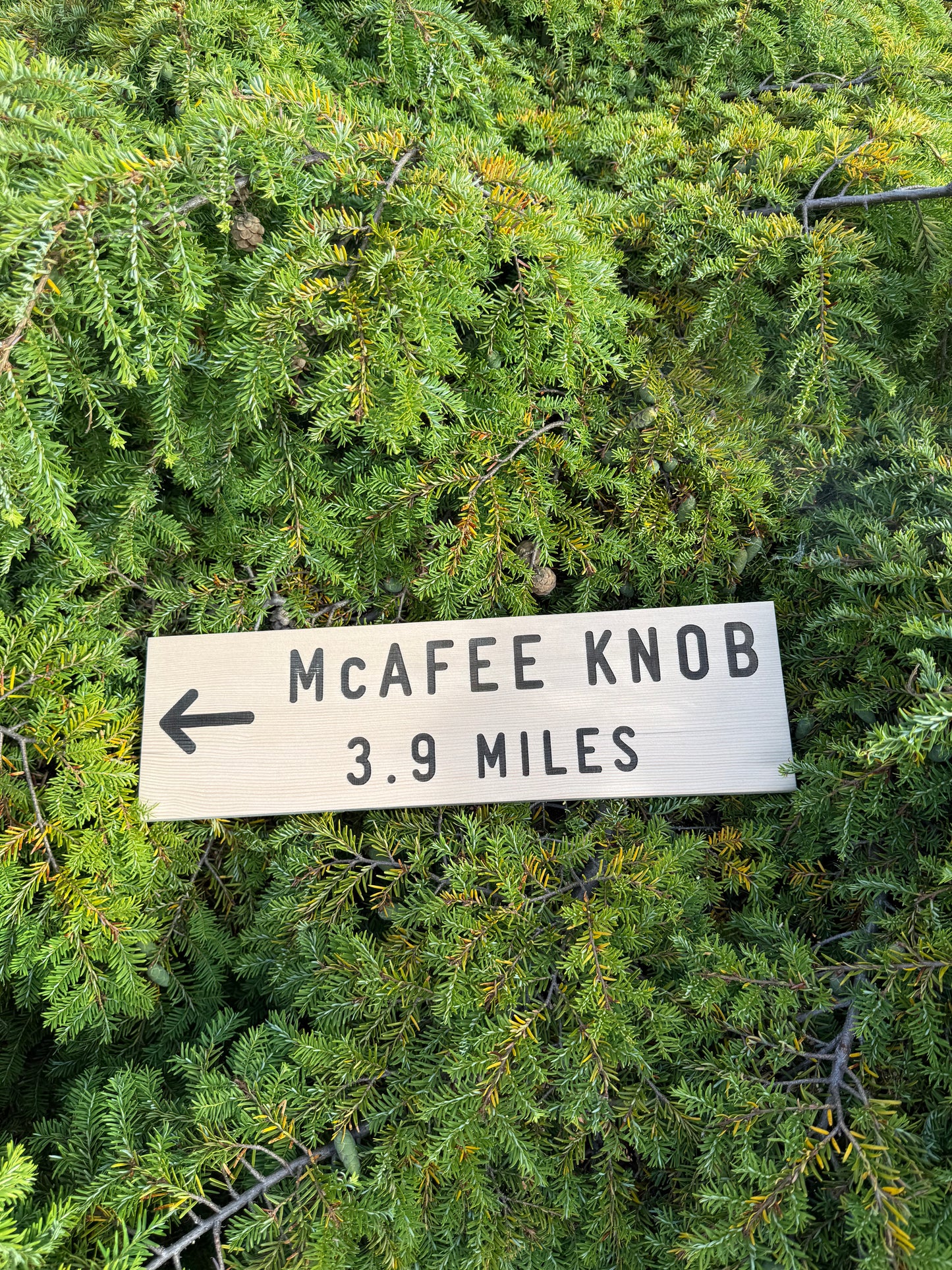 McAfee Knob Appalachian Trail memorabilia sign celebrating AT hiking memories, trail milestones, and backpacking adventures