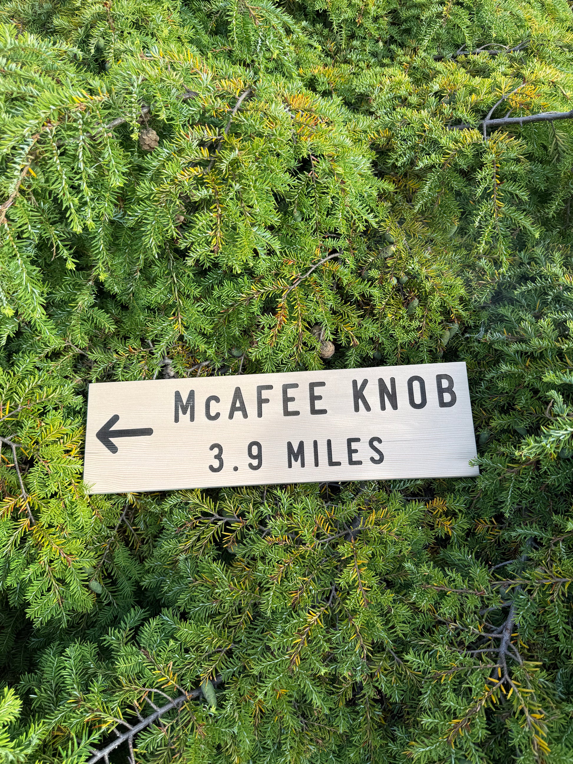 McAfee Knob Appalachian Trail memorabilia sign celebrating AT hiking memories, trail milestones, and backpacking adventures
