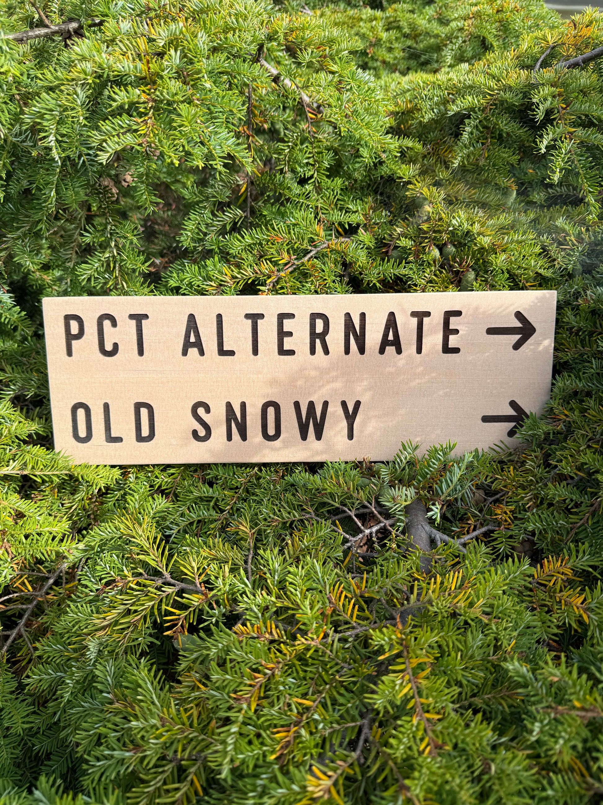 Old Snowy Pacific Crest Trail memorabilia sign celebrating PCT hiking memories, trail milestones, and backpacking adventures