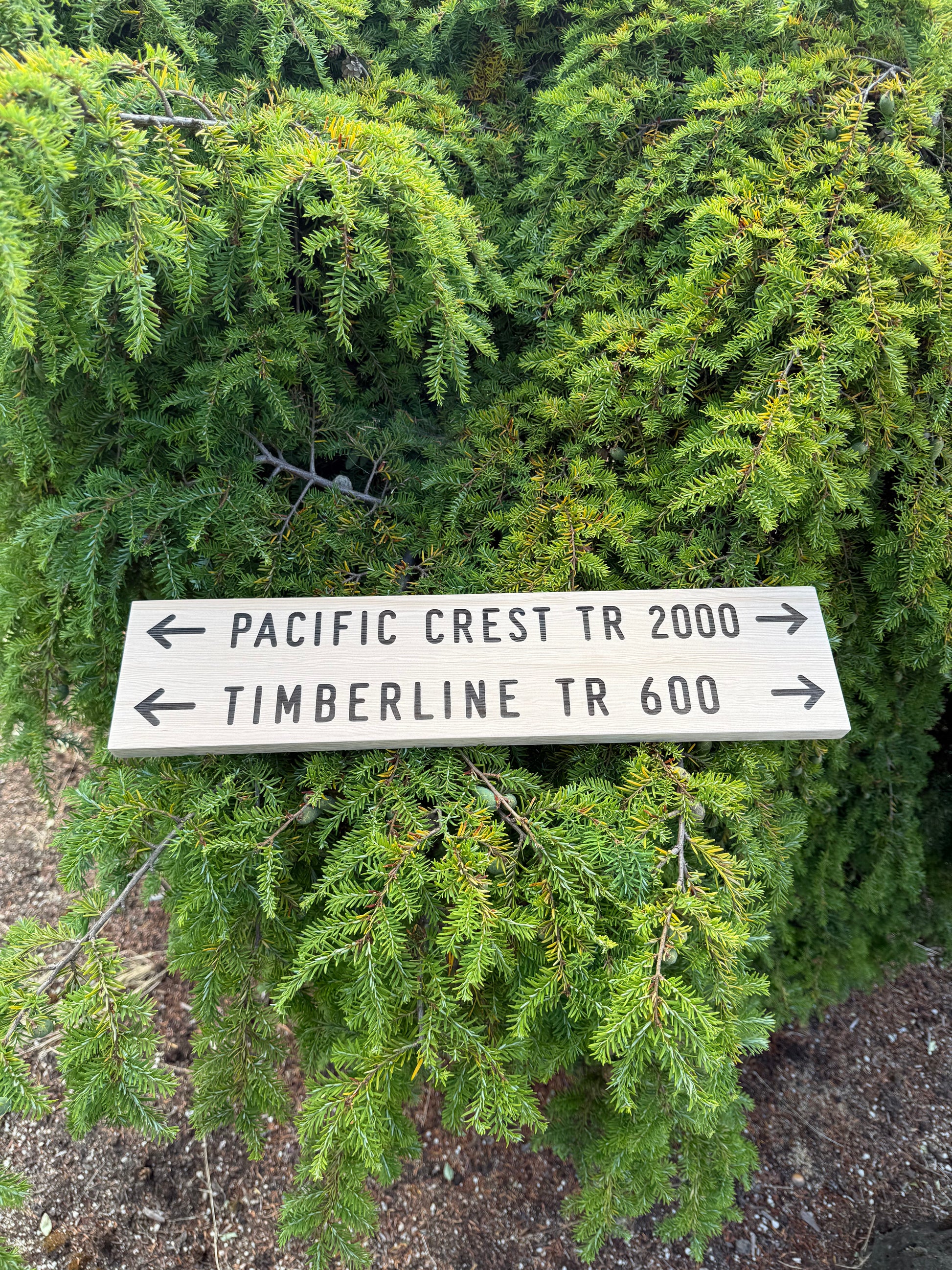 Oregon hiking gift featuring the Timberline Trail 600 near Mount Hood for backpackers, hikers, and outdoor adventure lovers