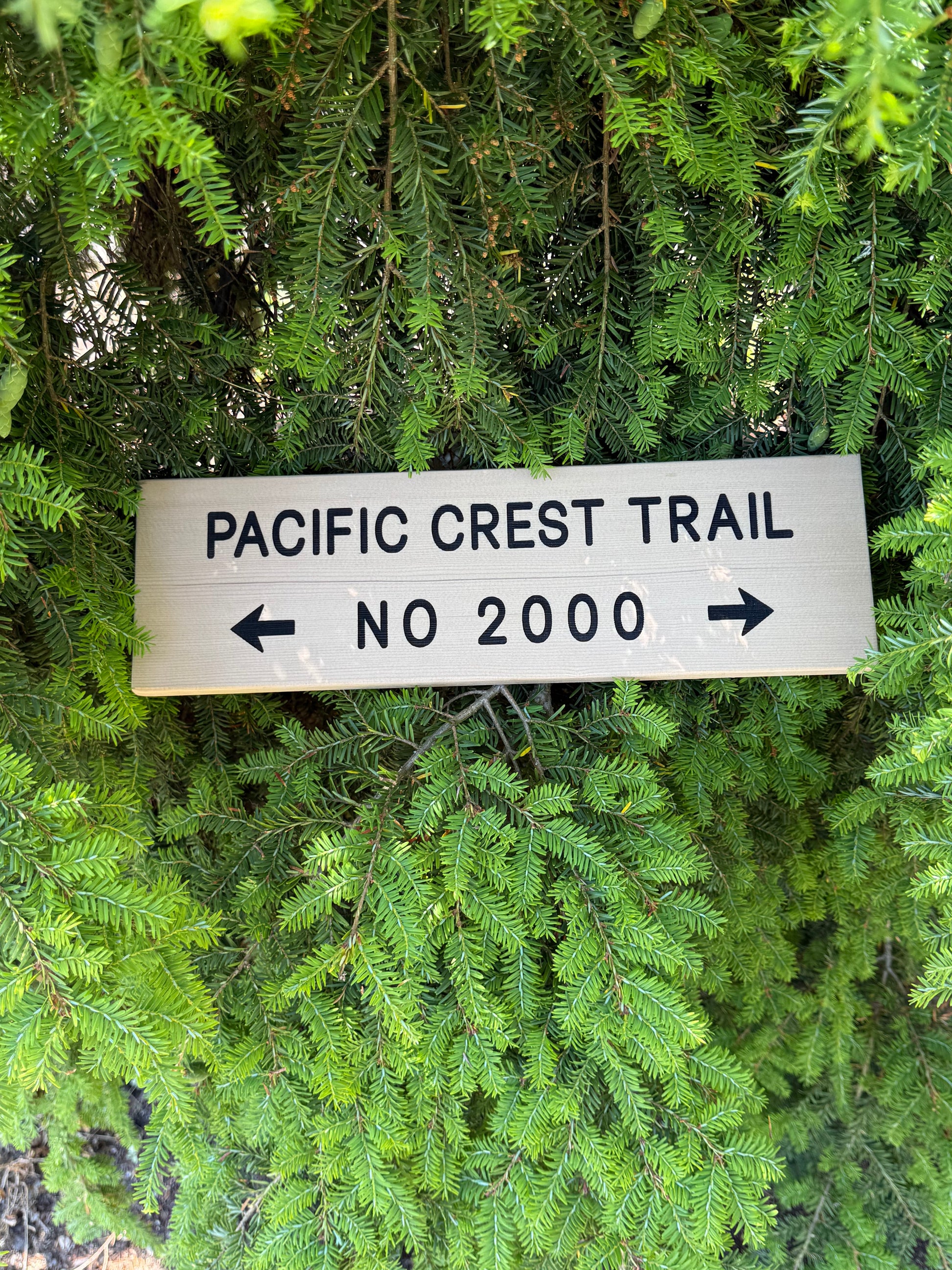 Handmade Pacific Crest Trail Trail Number 2000 sign inspired by the iconic PCT long-distance hiking trail