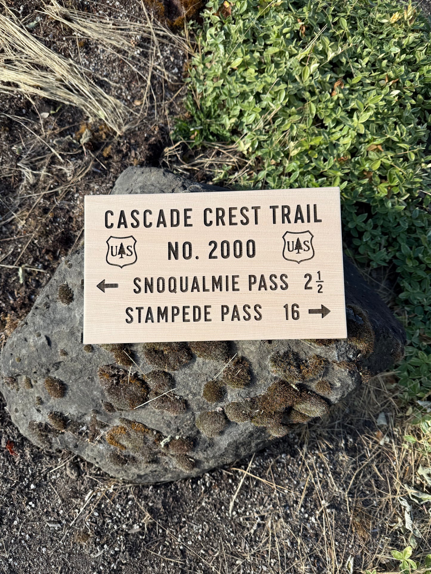 Pacific Crest Trail memorabilia wooden sign for hikers seeking a unique PCT gift, backpacking keepsake, or trail-inspired decor