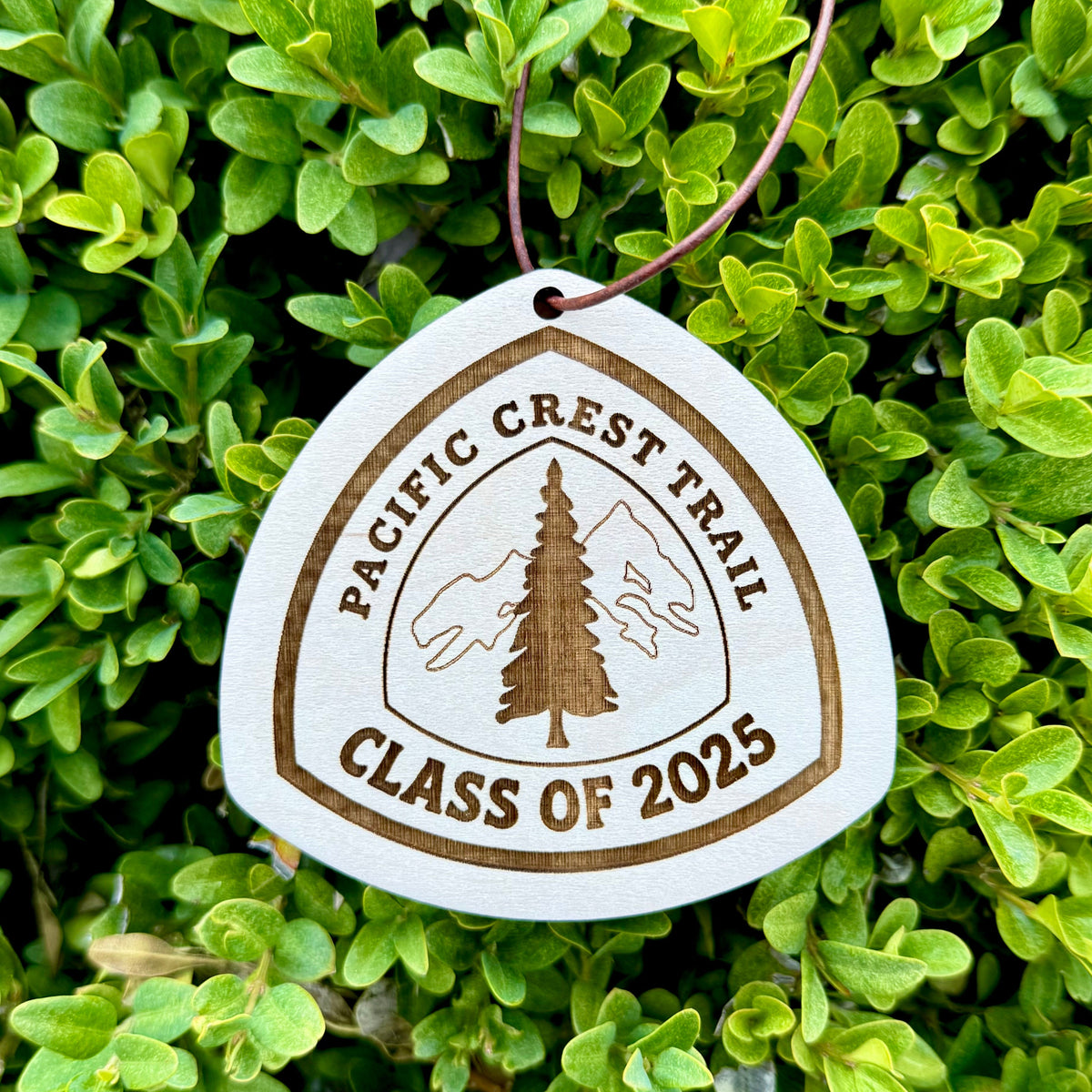 Personalized wooden hiker tag photographed against bright green foliage PCT Class Of 2025 Gift