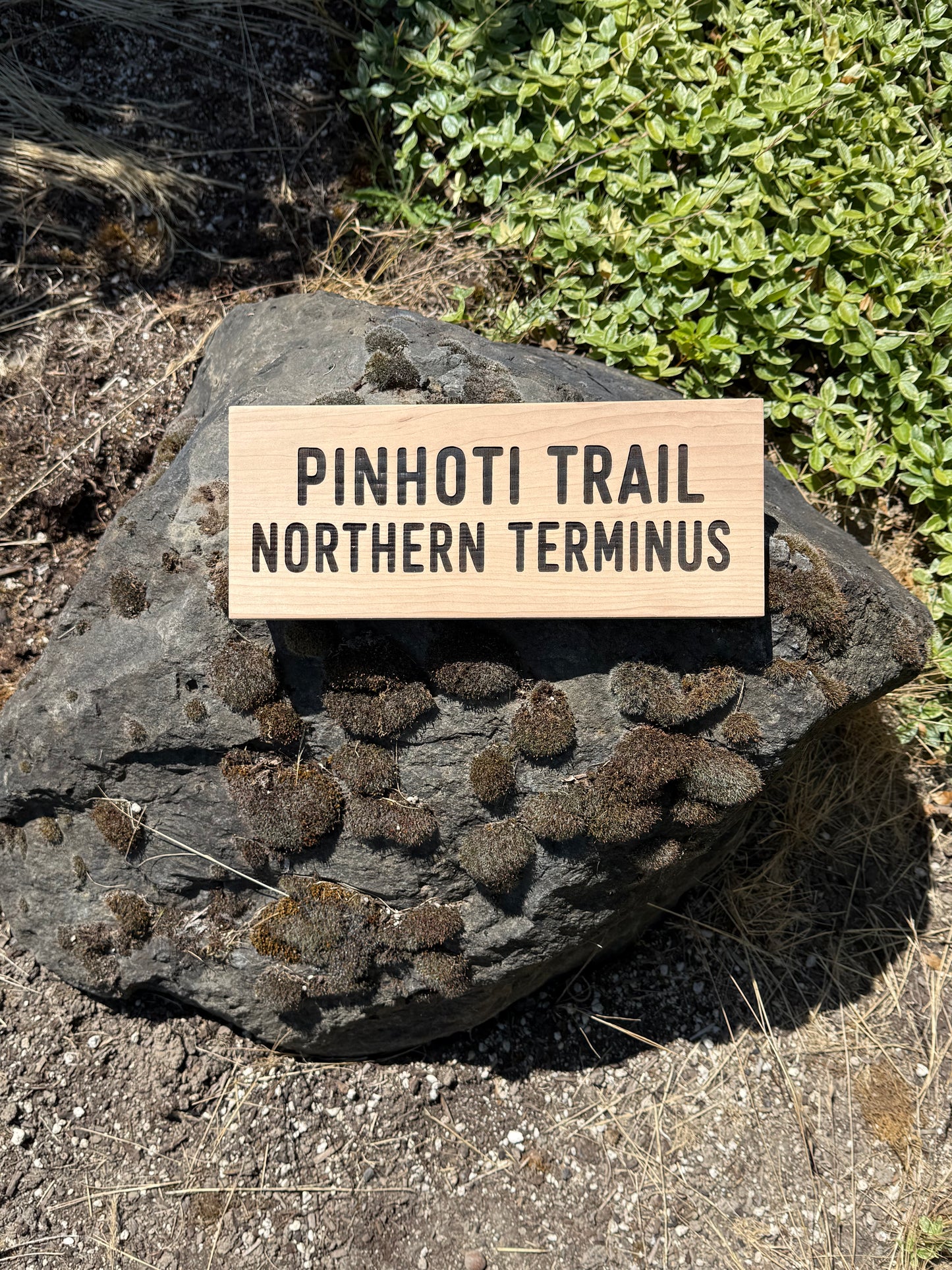Wooden Pinhoti Trail Northern Terminus sign perfect for cabin decor and hiking enthusiasts