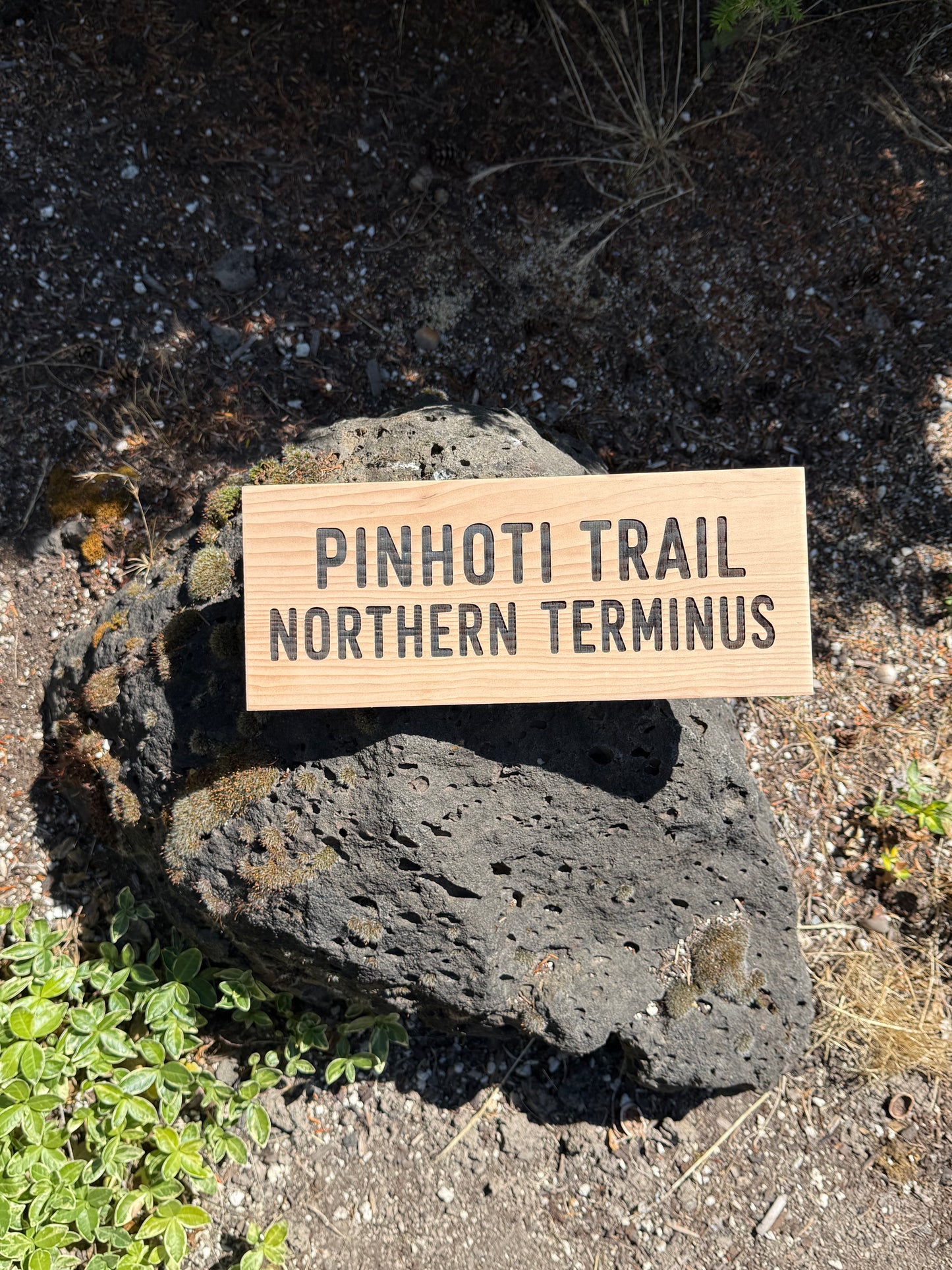 Pinhoti Trail Northern Terminus wooden sign for hiking room decor and trail memorabilia collections