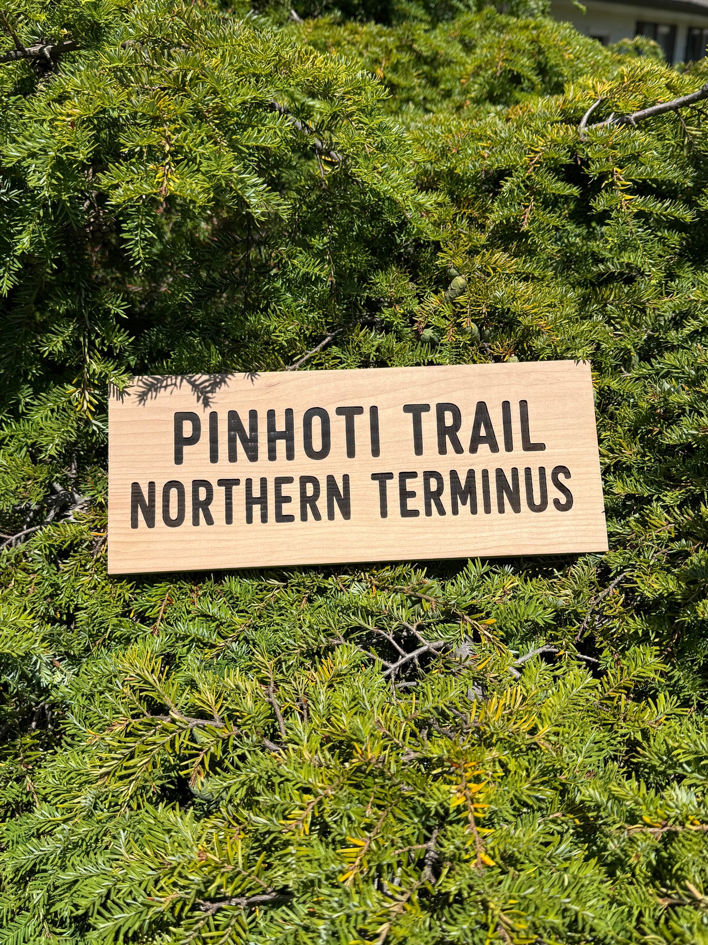 Unique Pinhoti Trail sign gift for thru hikers, section hikers, and outdoor adventurers