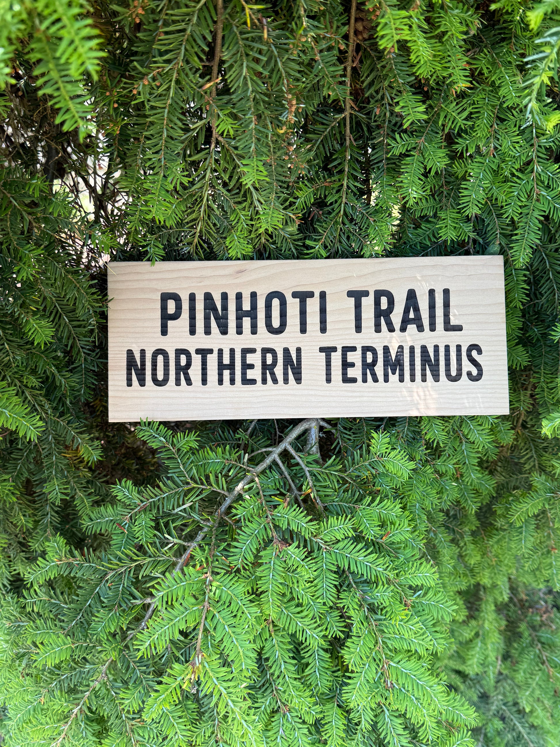 Handmade Pinhoti Trail Northern Terminus sign, perfect gift for hikers and backpacking enthusiasts