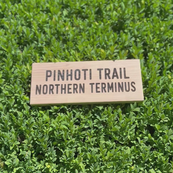 Collectible Pinhoti Trail Northern Terminus sign inspired by one of the Southeast's premier long-distance hiking trails
