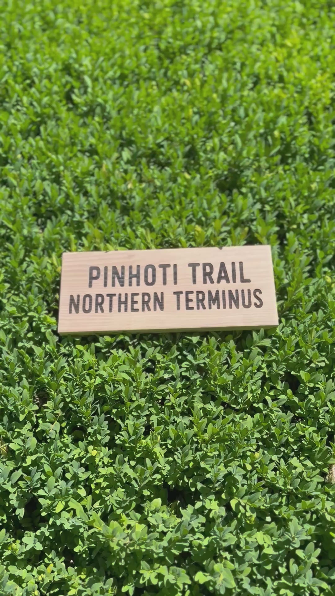 Collectible Pinhoti Trail Northern Terminus sign inspired by one of the Southeast's premier long-distance hiking trails