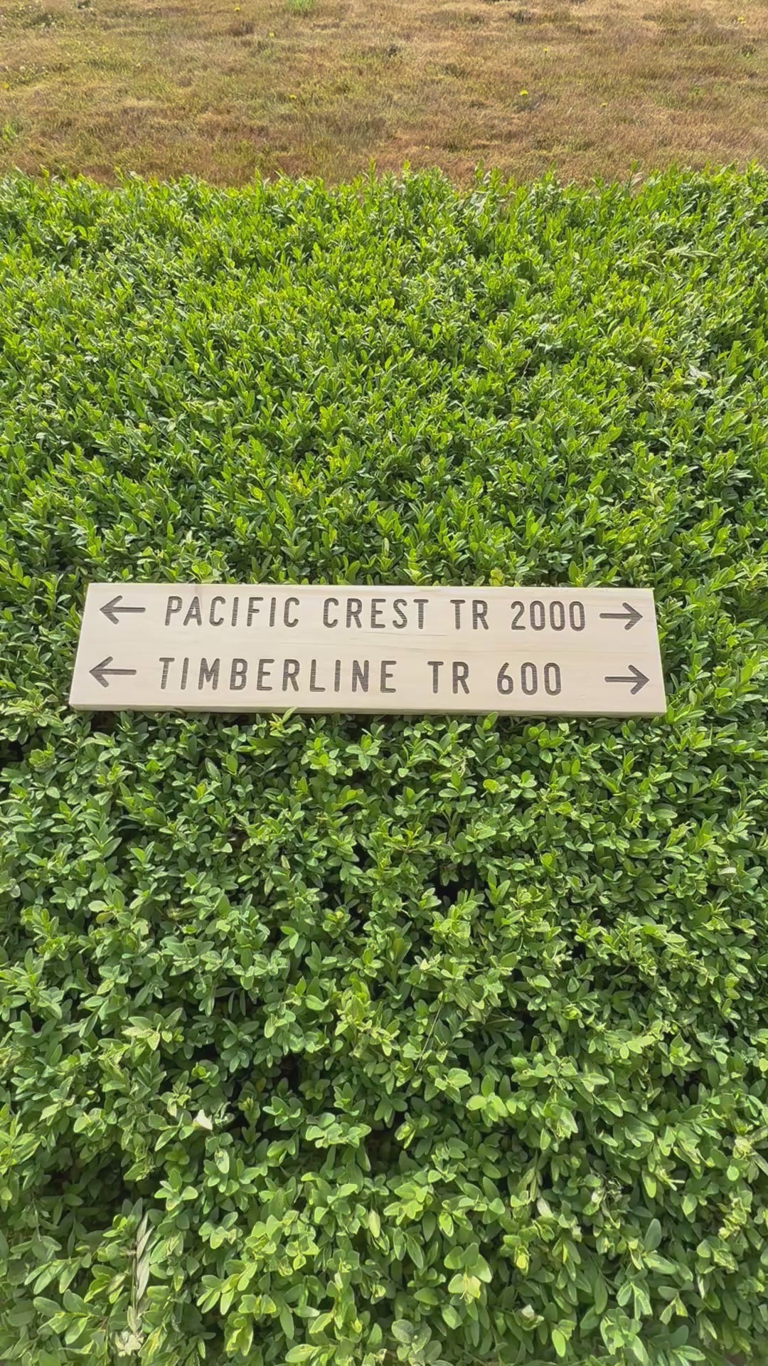 PCT Timberline Trail 600 sign gift for thru hikers, section hikers, backpackers, and Pacific Crest Trail enthusiasts