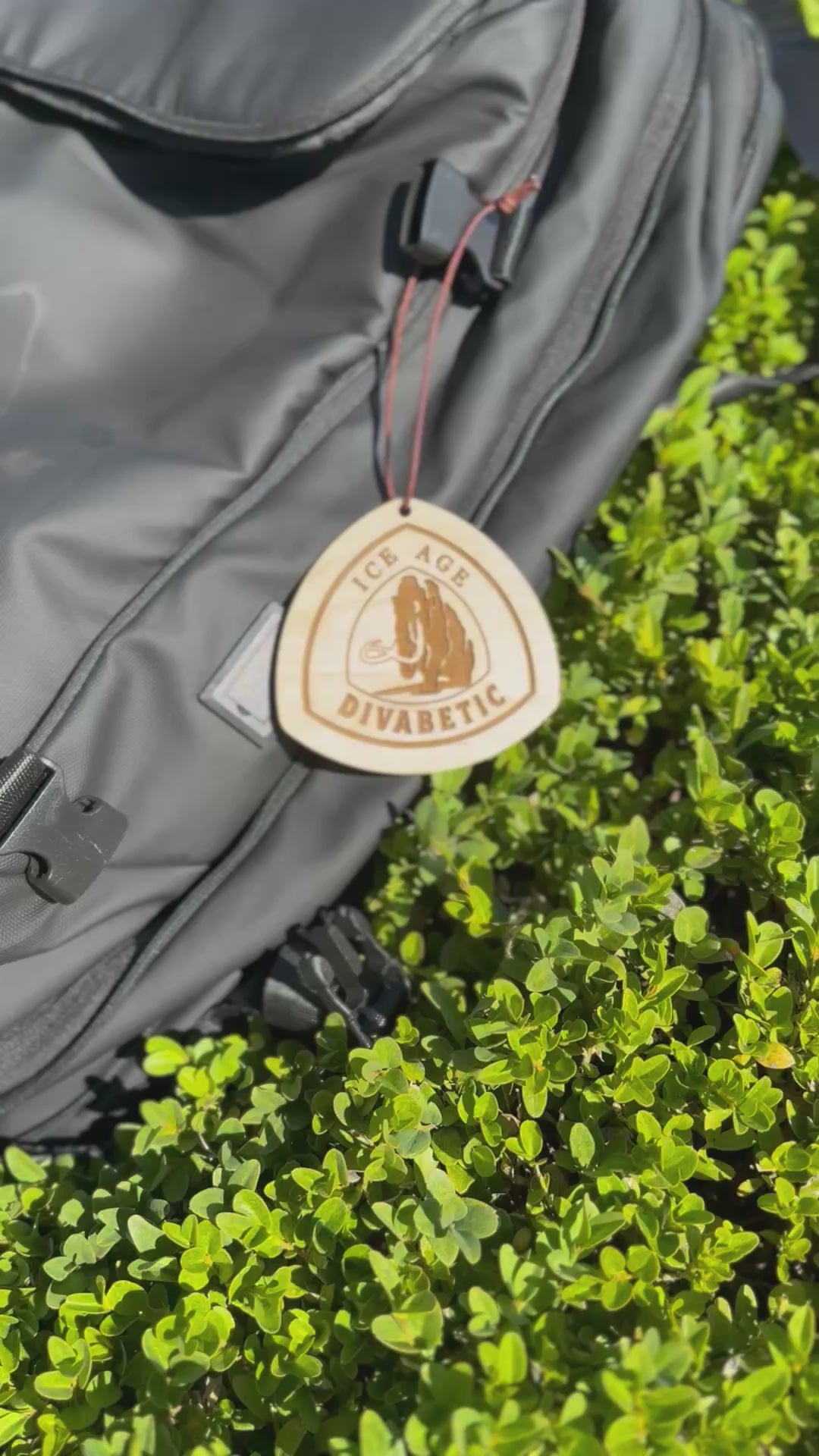 personalized wooden Ice Age Trail backpack tag with engraved trail name, laser engraved reclaimed wood Ice Age Trail name tag for hikers, custom Ice Age Trail thru-hiker gift lightweight wooden tag, handmade wooden Ice Age Trail keepsake with leather loop, eco-friendly Ice Age Trail hiking tag personalized with trail nickname, custom engraved wood Ice Age Trail badge for backpack or keychain, unique Ice Age Trail hiker gift lightweight wooden trail name tag, rustic handmade Ice Age Trail gear tag