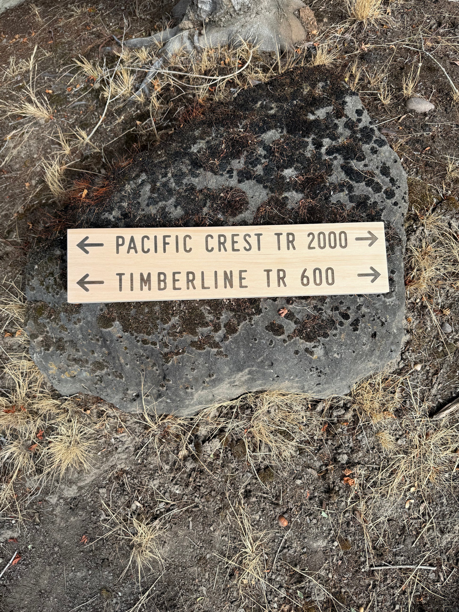 Timberline Trail 600 PCT wooden sign, a unique hiking gift for Pacific Crest Trail hikers and Mount Hood backpackers
