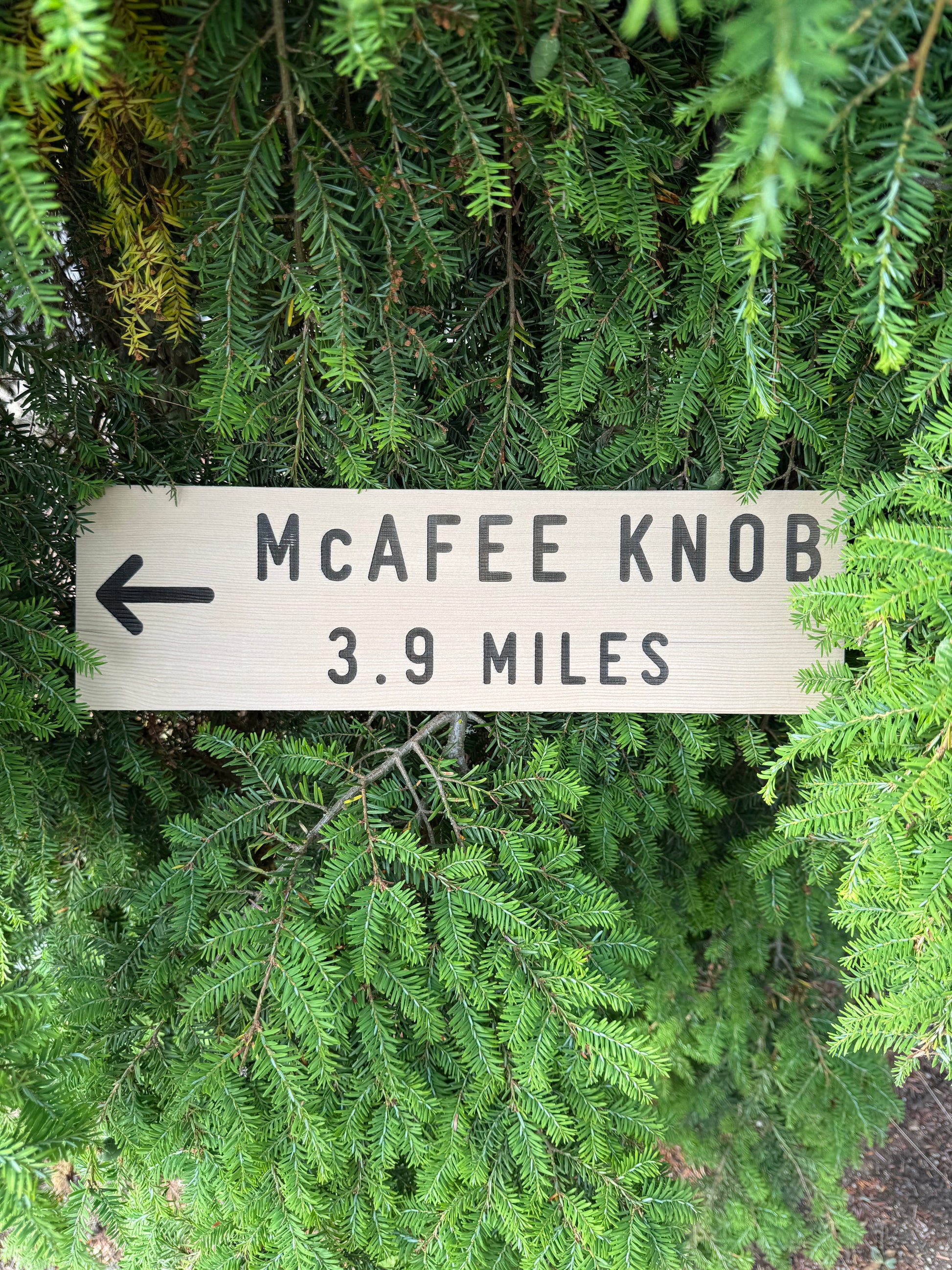 Virginia hiking gift featuring McAfee Knob on the Appalachian Trail for hikers, backpackers, and Blue Ridge outdoor enthusiasts